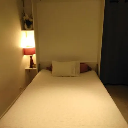 Apartament Nice- Gairaut - Jardin Prive- Grand F1 Lumineux-piscine Collective Nicea