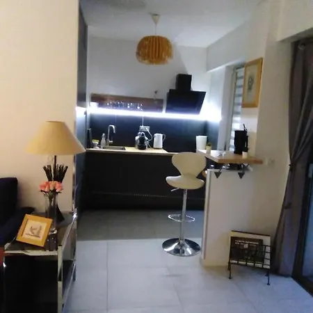 Nice- Gairaut - Jardin Prive- Grand F1 Lumineux-piscine Collective Apartment Nice