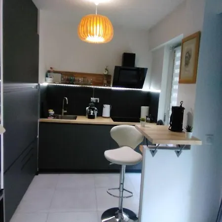 Nice- Gairaut - Jardin Prive- Grand F1 Lumineux-piscine Collective Apartment *