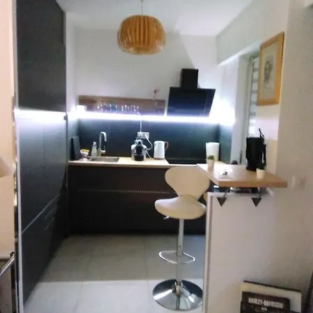 Nice- Gairaut - Jardin Prive- Grand F1 Lumineux-piscine Collective Apartment *