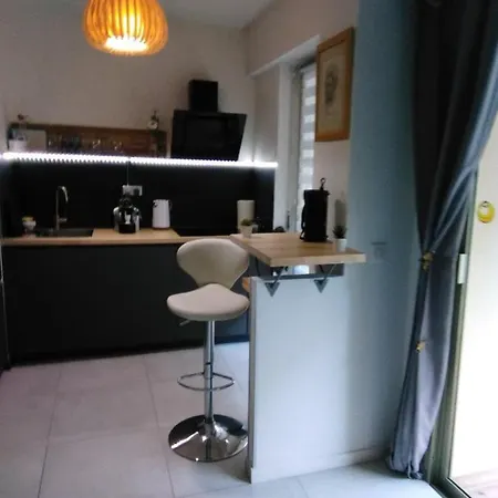 Nice- Gairaut - Jardin Prive- Grand F1 Lumineux-piscine Collective *