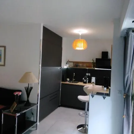 Nice- Gairaut - Jardin Prive- Grand F1 Lumineux-piscine Collective Apartment Nice